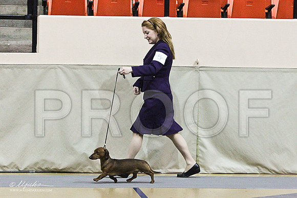 DachS-5702LR