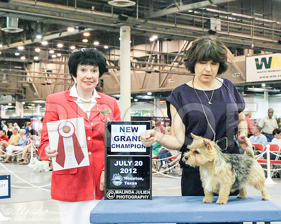 WPNGC-5738 PROOF