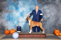 Boxer #7 Sun G1 Judge Jan Paulk