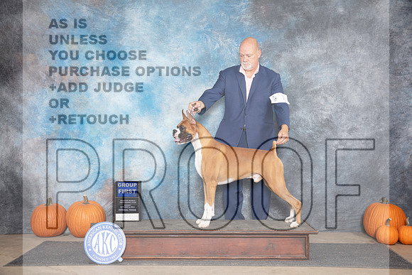 Boxer #7 Sun G1 Judge Jan Paulk__JP_9698_Humble_2024_HR3