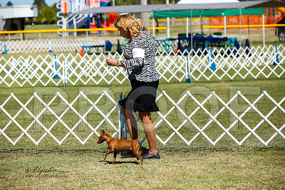 _JJ_3409-AlamogordoOct2014-HR3