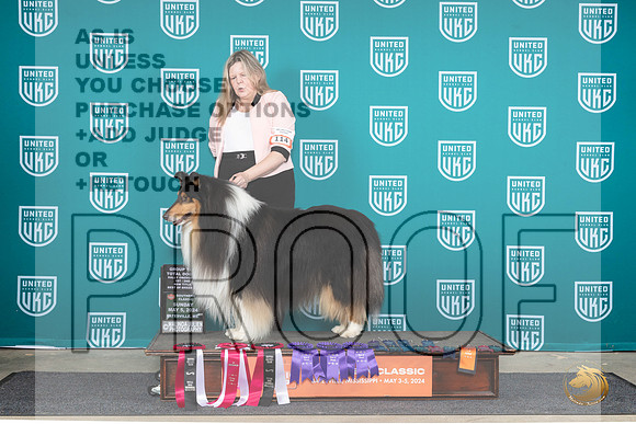 Rough Collie #114__JP_6608_BatesvilleMS_2024_HR3