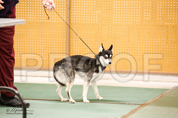 _JN_1407-NrmnNov2014-HR3