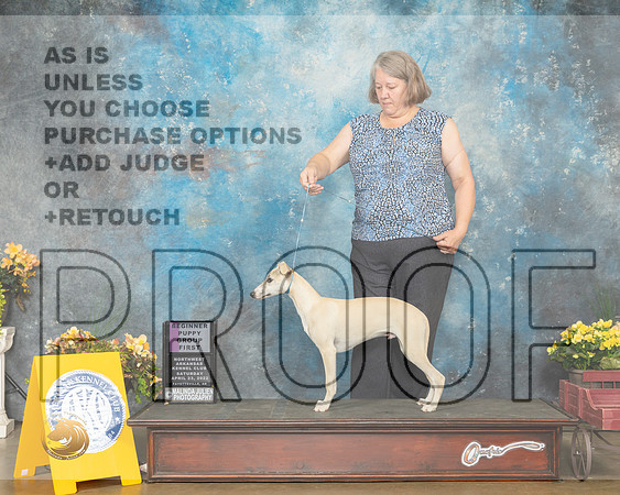 Whippet #5 Sat PG1 Judge Grace Fritz-MMJ_0313-NWARK2022-HR3