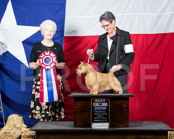 _ST_1646-AmarilloSep2014-HR3