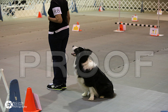 MJ2_0785-MsqtApr14-HR3