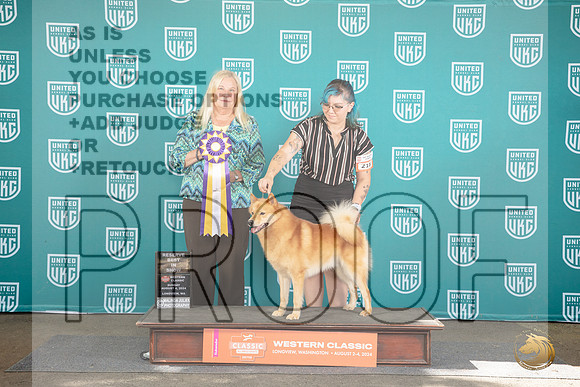 Finish Spitz #218 Sat RBIS Judge Katherine Short__JP_2015_Longview WA_2024_HR3