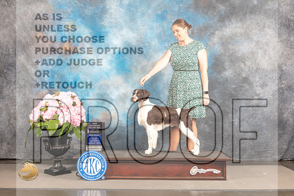 Brittany #9 Sat BOW Judge John Wade_MJ_7328_Houston_2022_HR3