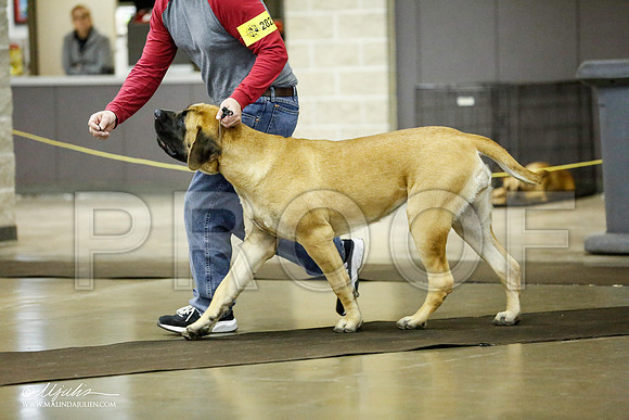 _RH_1723-BeltonJan2015IABCA-HR3