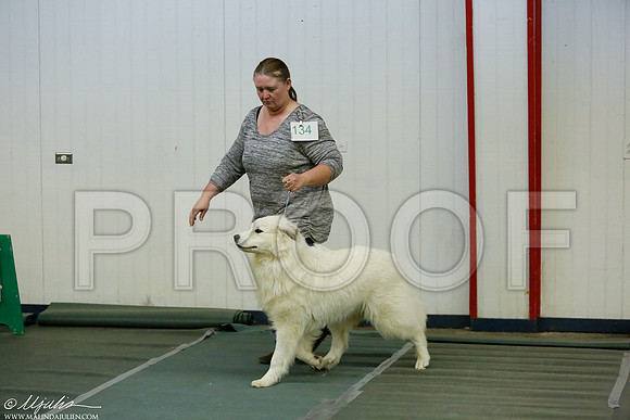 _MJ_4373-DentonMar2015-HR3