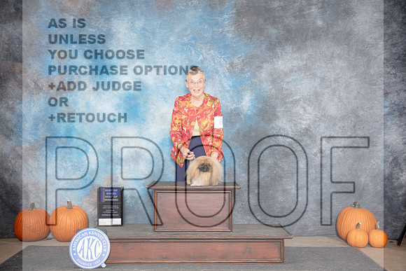 Pekingese #6 Sat BOBBOWWB Judge Ray Filburn__JP_8896_Humble_2024_HR3