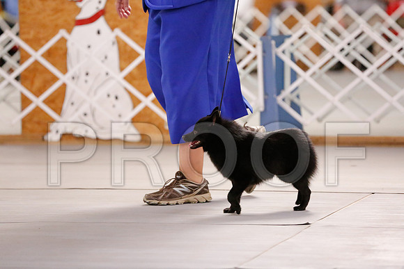 _RH_6760-CarlrolltonSept2014-HR3
