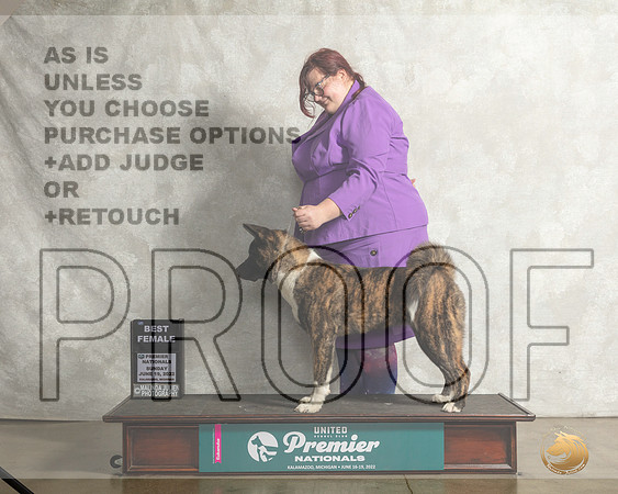 Akita #285 Sun BF Judge Mary Ellen Meyer__MJ_9090_Premier_2022_HR3