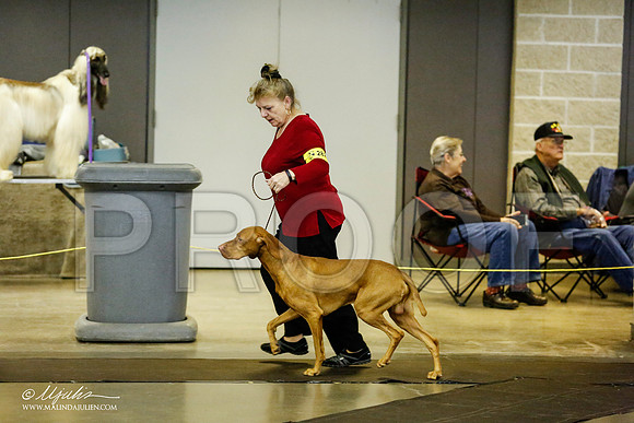_RH_1181-BeltonJan2015IABCA-HR3