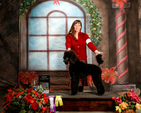 Poodle Standard #172 Sat BOB G3 New Ch