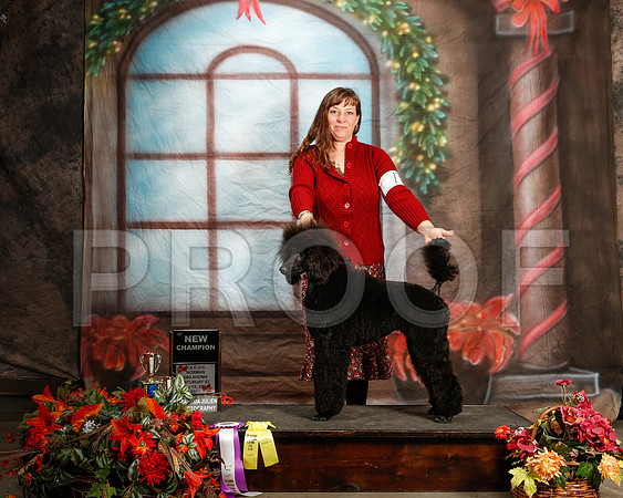 _ST_7090-2-NrmnNov2014-HR3