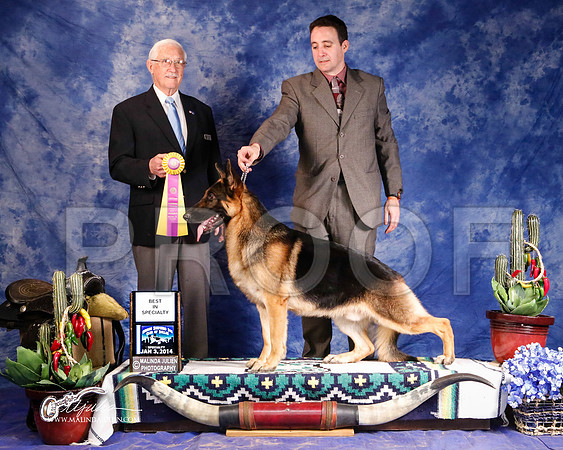 GSD-0388-GRJan14-HR