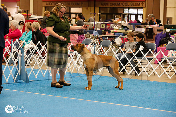 RHOD-0306-FWMar14-HR