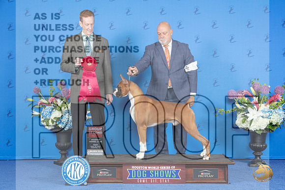 Boxer #5 FRI G2 Judge Ronald Freeman__JP_9419_Houston_2024_HR3