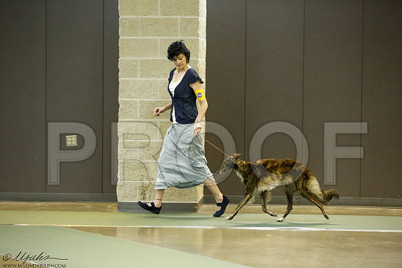 _J3L1728-BeltSep2014-HR
