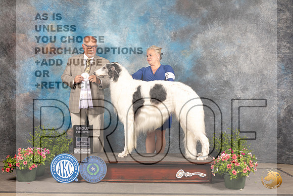 Borzoi #9 Sun G4 Judge Michael Canalizo_MJ_1597_SA_2022_HR3
