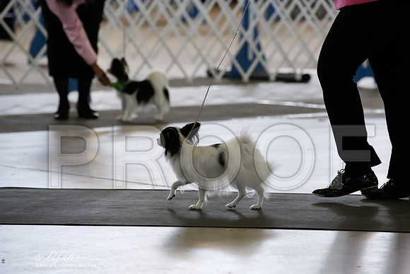 _CK_5628-DallasJul2014-HR3