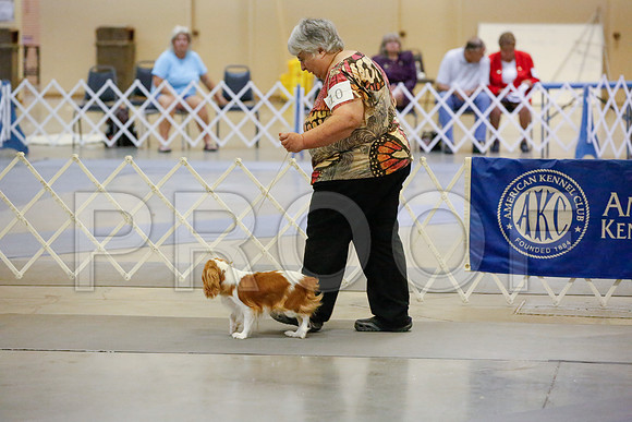 _JJ_1034-AmarilloSept2014-HR3