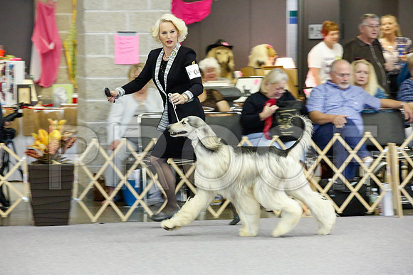 _JJ_1208-AfgBeltonOct2014-HR3