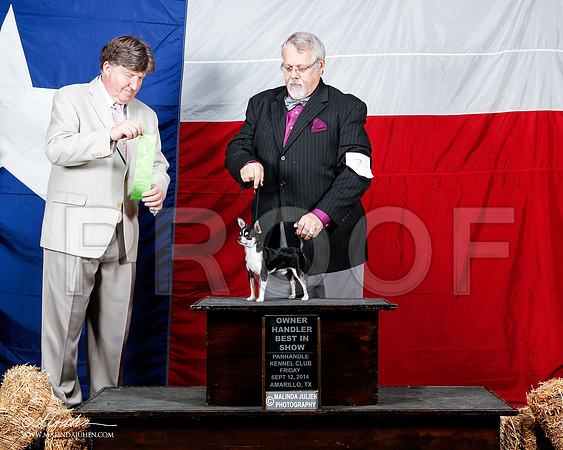 _ST_1642-2-AmarilloSep2014-HR3