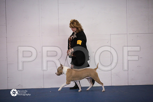 APBT-5464-HtoJan14-HR