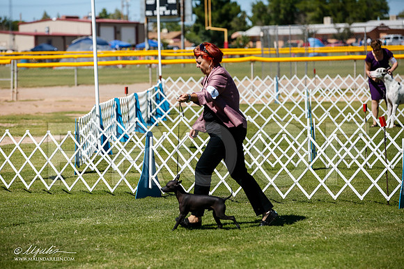 _JJ_8174-AlamogordoOct2014-HR3