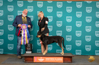 LCLD #286 Sat BIS Judge Matt Proctor