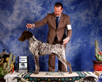 German Shorthaired Pointer #19 Sun WD Hosack Vicki L & James R Deppen Agent David M Harper Judge P Trotter J+