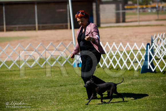 _JJ_8165-AlamogordoOct2014-HR3