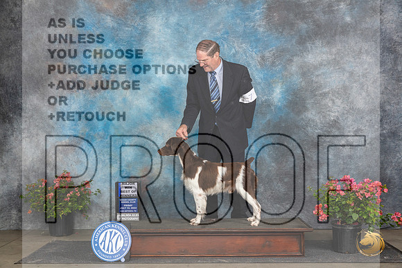 Brittany #7 Fri WDBOWM Judge Elizabeth ‘Beth’ Sweigart__JP_4419_San Antonio_2024_HR3