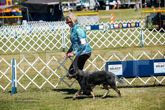 _JJ_3661-AlamogordoOct2014-HR3