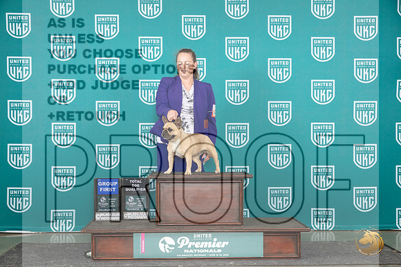French Bulldog #1473 Sun G1TD Judge Stephanie Mueller__JP_3206_Premier_2024_HR3