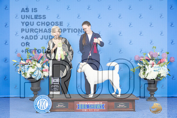 Kishu Ken #6 SUN BIOS Judge Nancy Liebes_JP_0590e_Houston_2024-HR3
