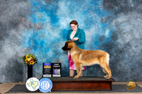 Leonburger #8 Sat BOBM Judge Sharol Candace Way