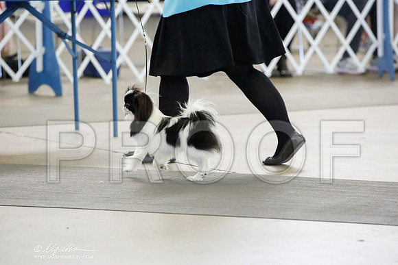 _CK_1009-DallasJul2014-HR3