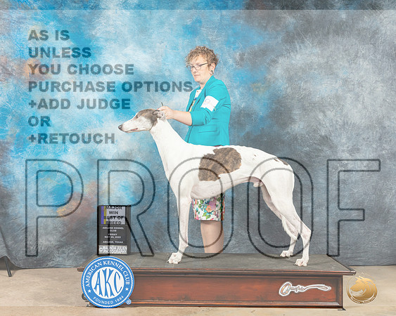 Grehound #9 Fri BOBM Judge Pat Trotter-MMJ_2890-Addison2022-HR3
