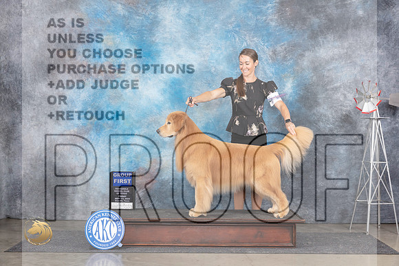 Golden Retriever #11 Fri G1 Judge Pat Trotter__JP_5626_Amarillo_2024_HR3