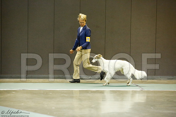 _J3L6984-BeltSep2014-HR