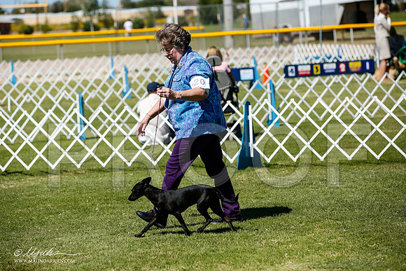 _JJ_8435-AlamogordoOct2014-HR3