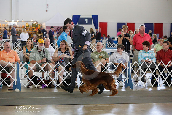 _JJ_1296-DallasJul2014-HR3