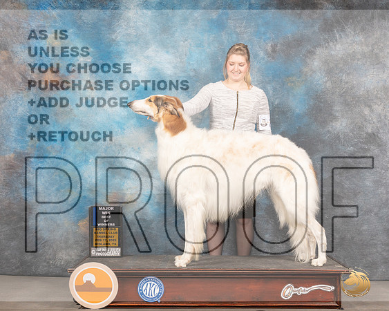 Borzoi #23 Thurs BOWWB Judge Donnell RichardsMMJ_2282_Mdlnd2022_HR3
