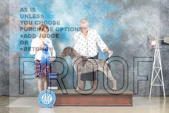 German Shorthaired Pointer #5 Sun G1 Judge Sharron Derrick-_MJ_5074-HR3