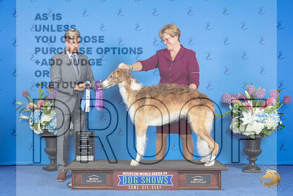 Borzoi #19 FRI WD BW M Judge Douglas Johnson__JP_8957_Houston_2024_HR3