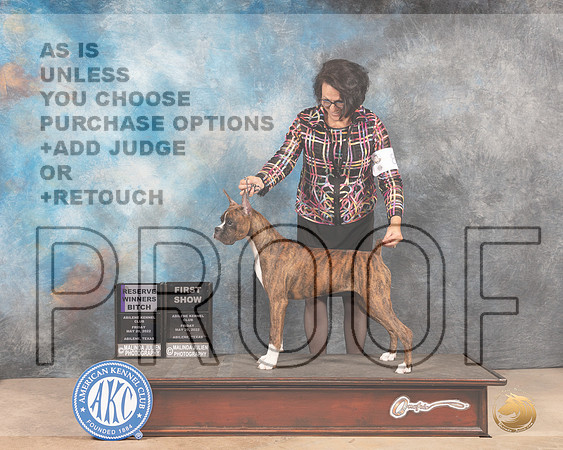 Boxer #8 Fri RWB Judge Joan Liebes-MMJ_3016-Addison2022-HR3