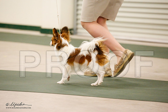 _JN_9101-NrmnNov2014-HR3